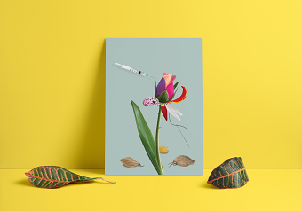 The Over-use of Plastic Surgery