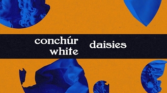 Conchúr White - "Daisies" (Lyric Video)