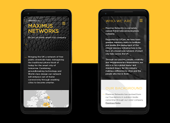 Maxnet Website