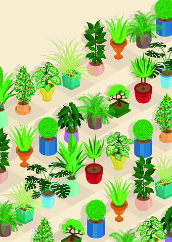 Plant Life