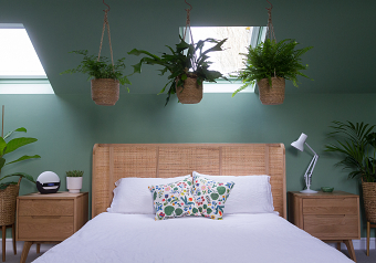 Serene Green Bedroom