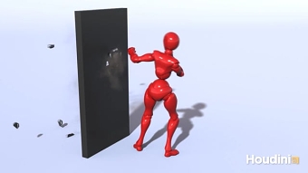 Roundhouse Kick