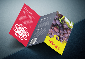 Culdevco_Joybells Brochure