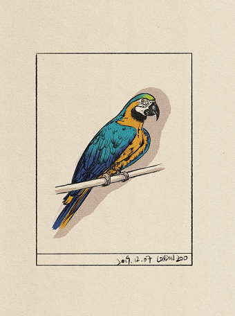 London Zoo Animal Observation Project