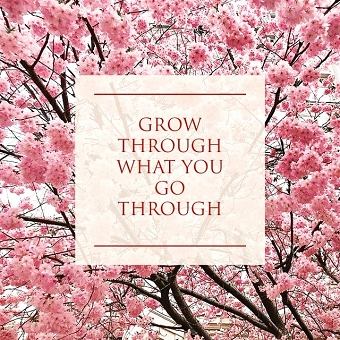 Motivational Images