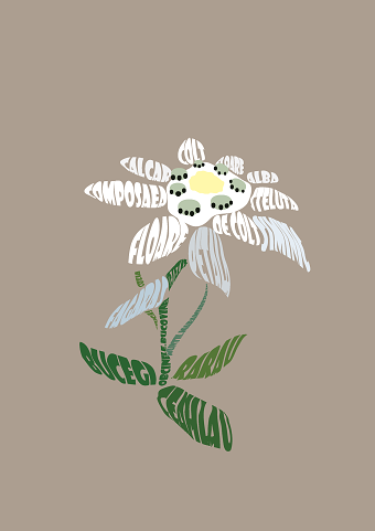 Calligrams