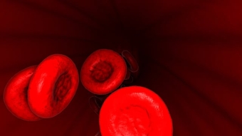 3D Red blood cells animation