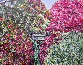 A Colourful Devon Garden