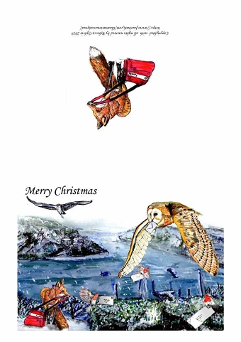 Cornish Festive Wildlife