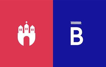 Brzeziny town identity