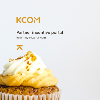 B2B reseller sales incentive portal