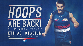 Western Bulldogs Internship