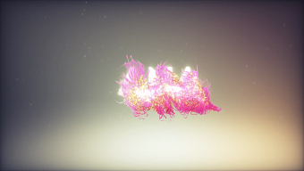 Ana Stanojevic Showreel