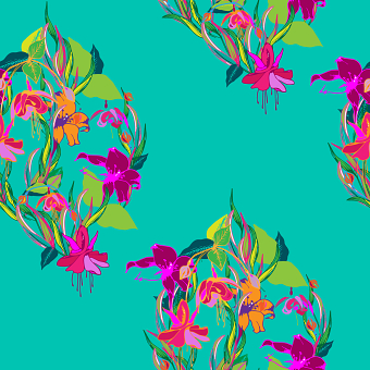 Fuchsia Lilly Collection 2020