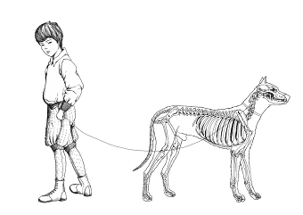 Brix Bailey Bags and Accessories Walkies Illustration