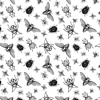 Brix and Bailey Brand Illustrations Bugs Galore