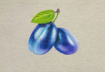 Plum