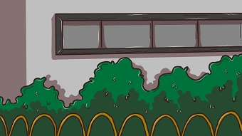 Backgrounds