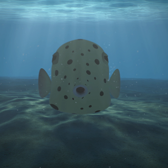 Yellowboxfish