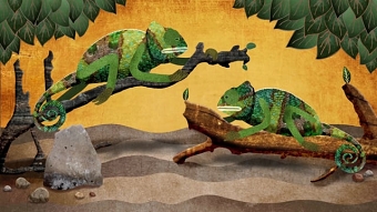 karma chameleons