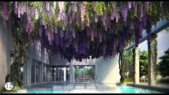 Wisteria Flower