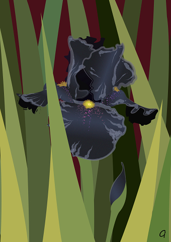 Art Deco Iris design