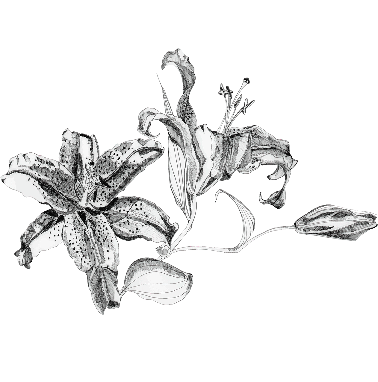 .pdf Portfolio