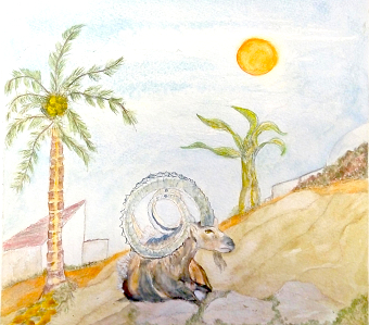 Animal-5