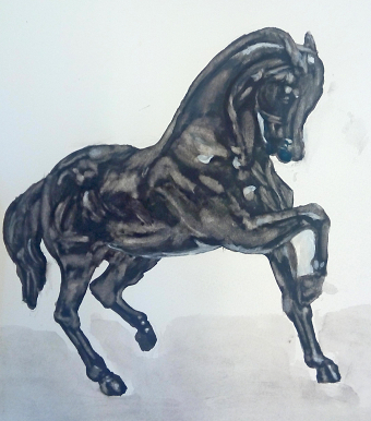 Animal-8
