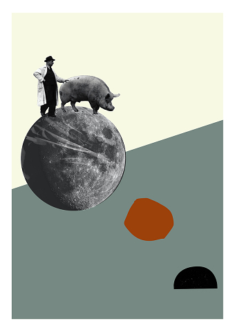 PLANET PIG