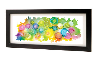 Rainbow Jellies