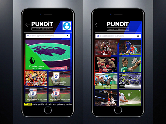 Pundit
