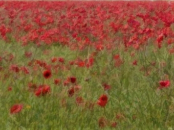 Red Earth