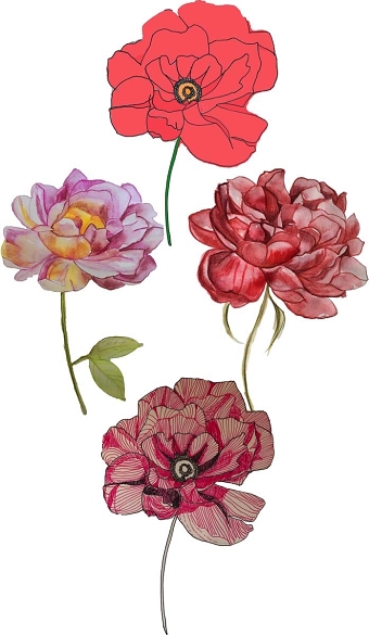 Peony-1