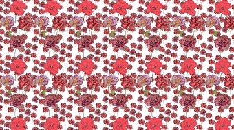 Peony-2