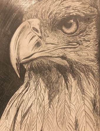 Drawings