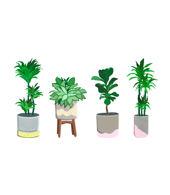 Jess Illustrates + Seed Floral