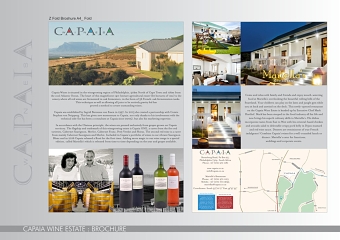 Brochure Design