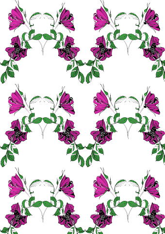 Garden Peony