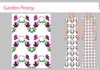 Garden Peony Worksheet