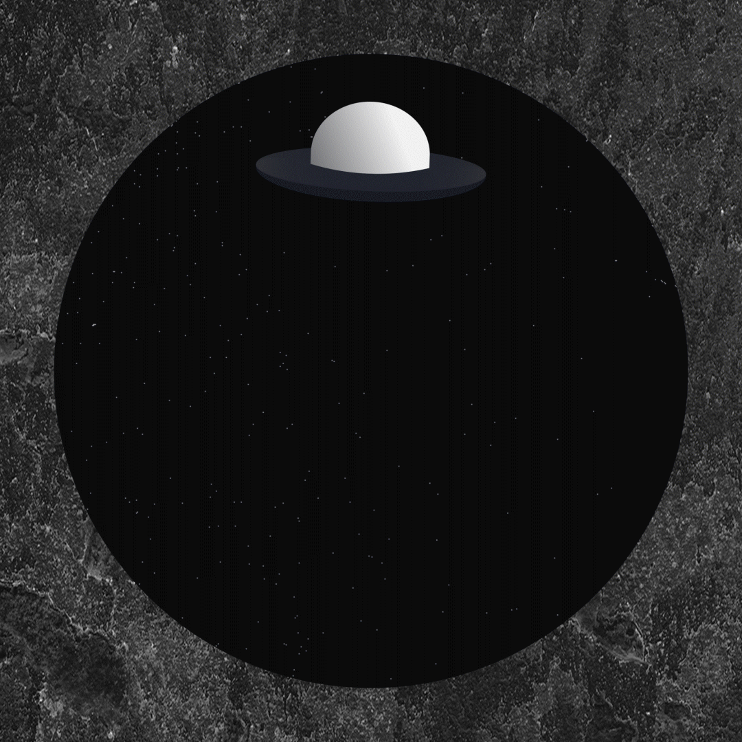 Animated 'Cat'Gif