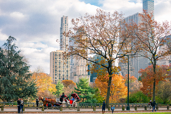 New York