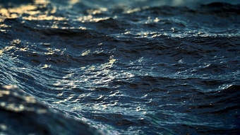 OCEAN MEMORIES