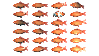 3D Visualisation: The same... but different