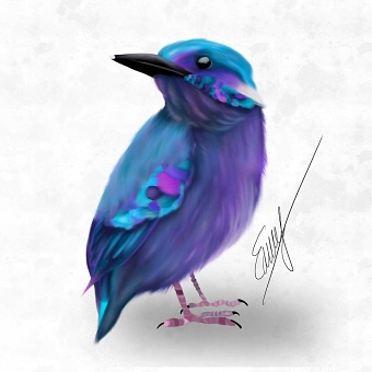 Galaxy bird