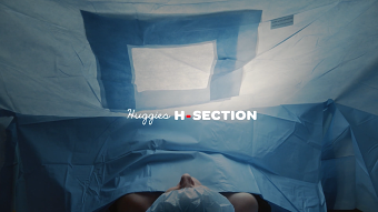 H-Section