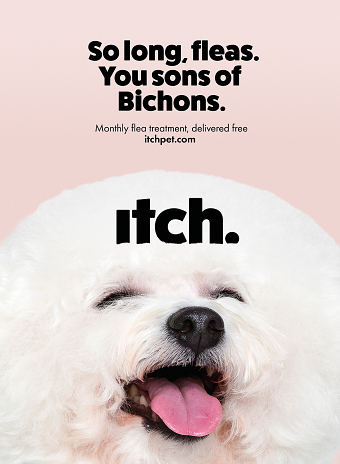 Itch product launch