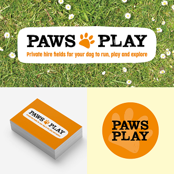 Paws Play