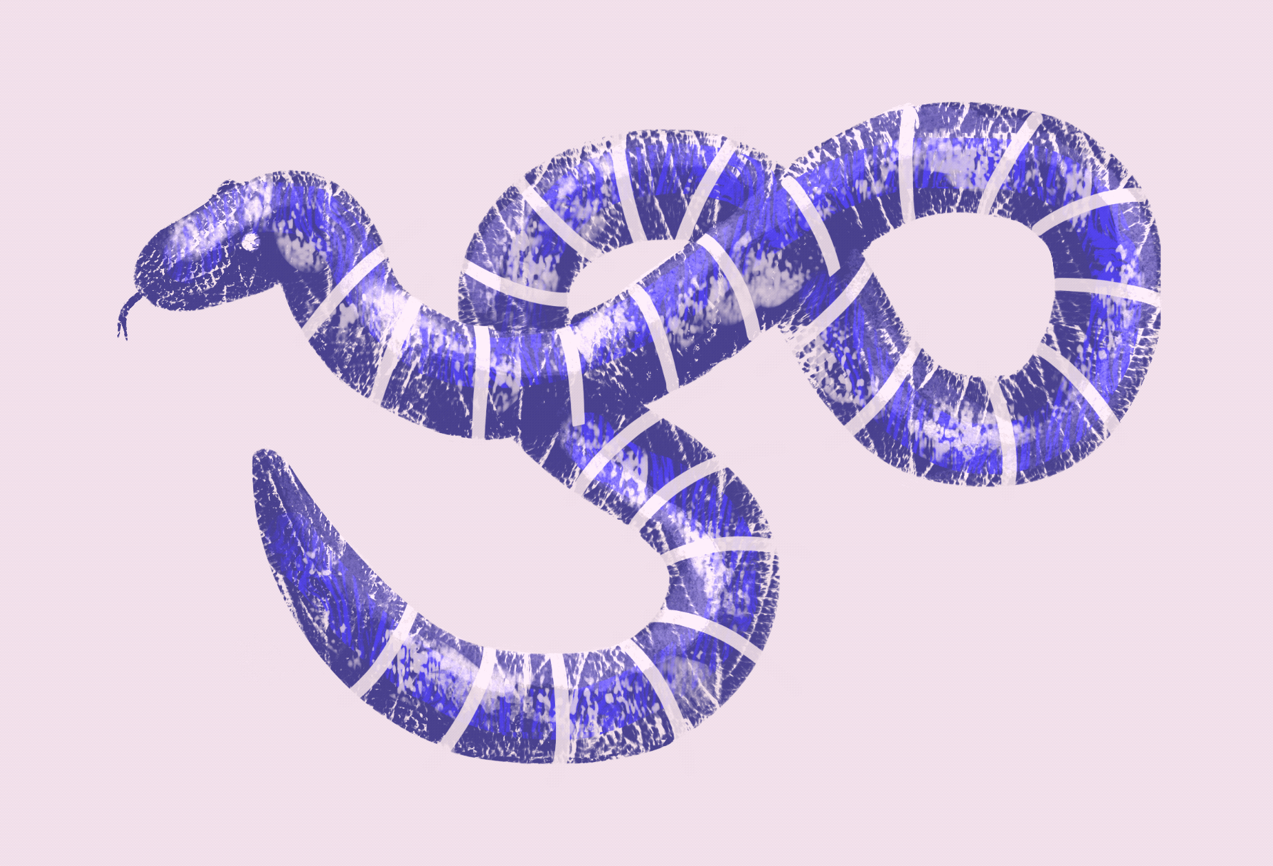 First Animation