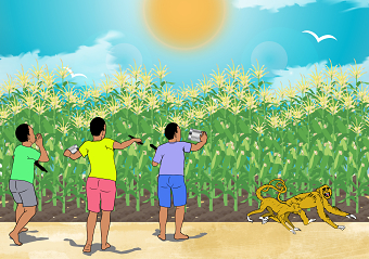 Illustrations -  Grade 5
